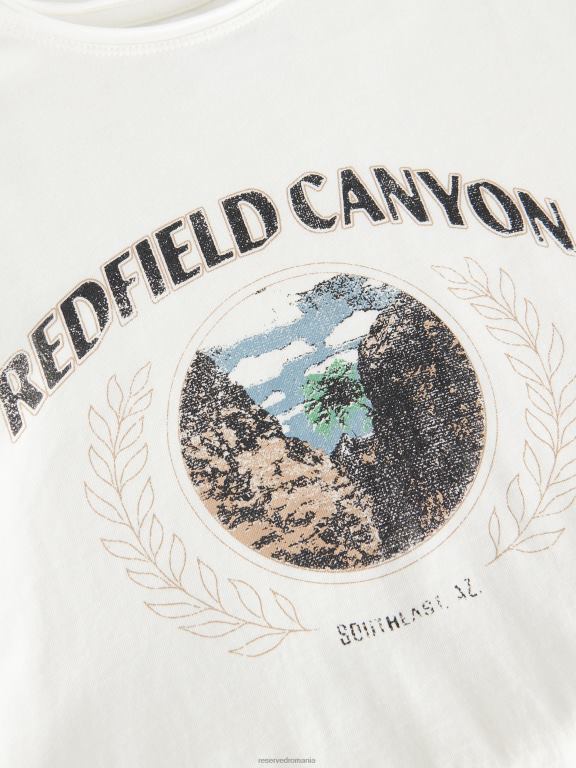 cremă Reserved bărbați îmbrăcăminte tricou la modă cu imprimeu cu fit regulat 648HZ1300