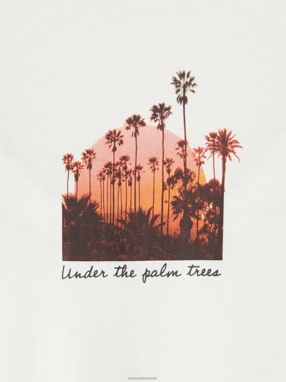 cremă Reserved bărbați îmbrăcăminte tricou nou regular cu imprimeu 648HZ1238