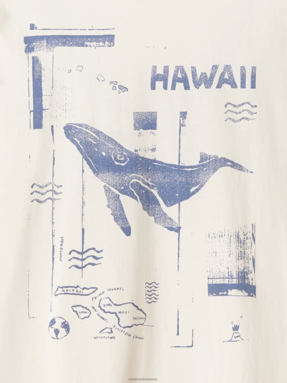 cremă Reserved bărbați îmbrăcăminte tricou regulat cu imprimeu 648HZ1304