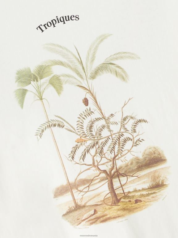 cremă Reserved bărbați îmbrăcăminte tricou regulat cu imprimeu 648HZ1321