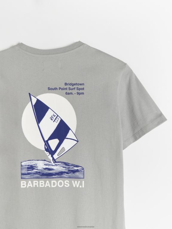 gri mijlociu Reserved bărbați îmbrăcăminte tricou regulat cu imprimeu 648HZ1311