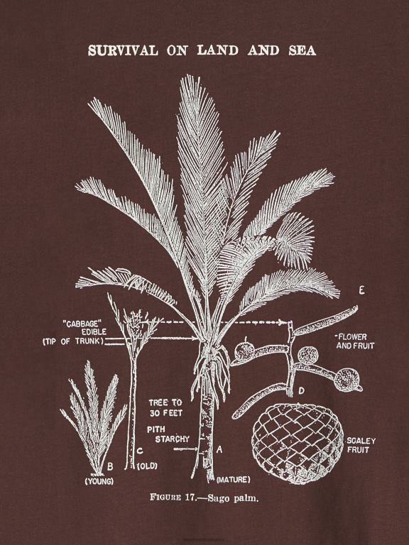 maro inchis Reserved bărbați îmbrăcăminte tricou nou regular cu imprimeu 648HZ1237