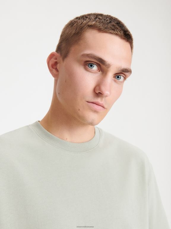 verde palid Reserved bărbați îmbrăcăminte tricou boxy 648HZ1216